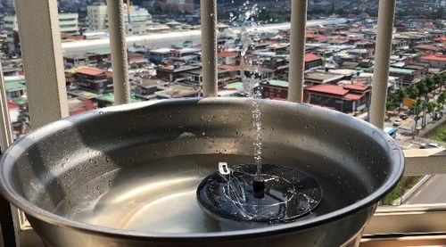 Customer photo review of Automatic Solar Fountain