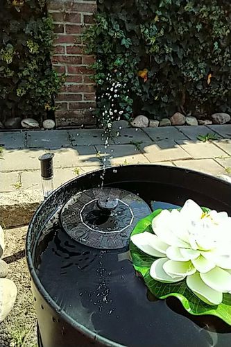 Customer photo review of Automatic Solar Fountain