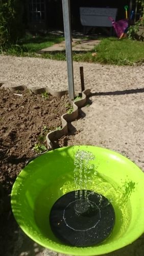 Customer photo review of Automatic Solar Fountain