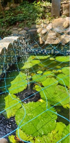 Customer photo review of Automatic Solar Fountain