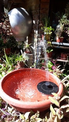 Customer photo review of Automatic Solar Fountain