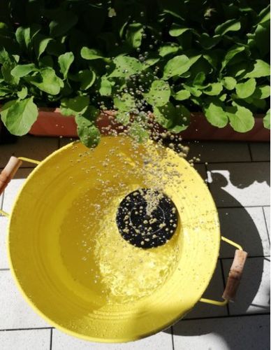 Customer photo review of Automatic Solar Fountain