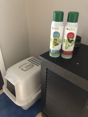 Customer photo review of Carpet Stain + Odor Remover and Cleaner for Cats