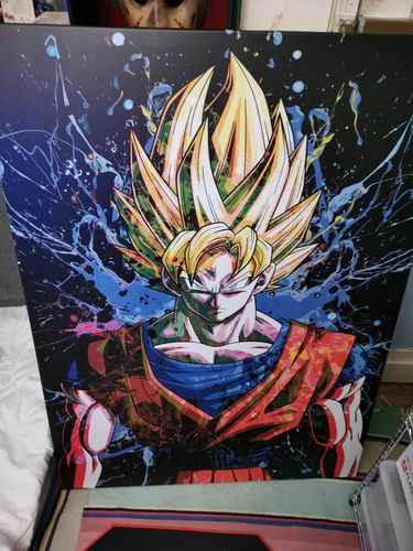 Customer photo review of Tableau Goku ssj2
