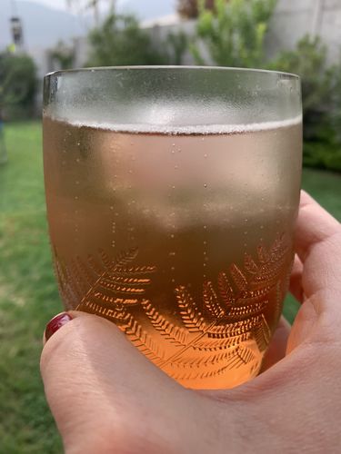 Customer photo review of Puyehue