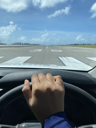 Customer photo review of Eco Friendly iPhone 11 Phone Case - Palm Leaf in Pitch Black