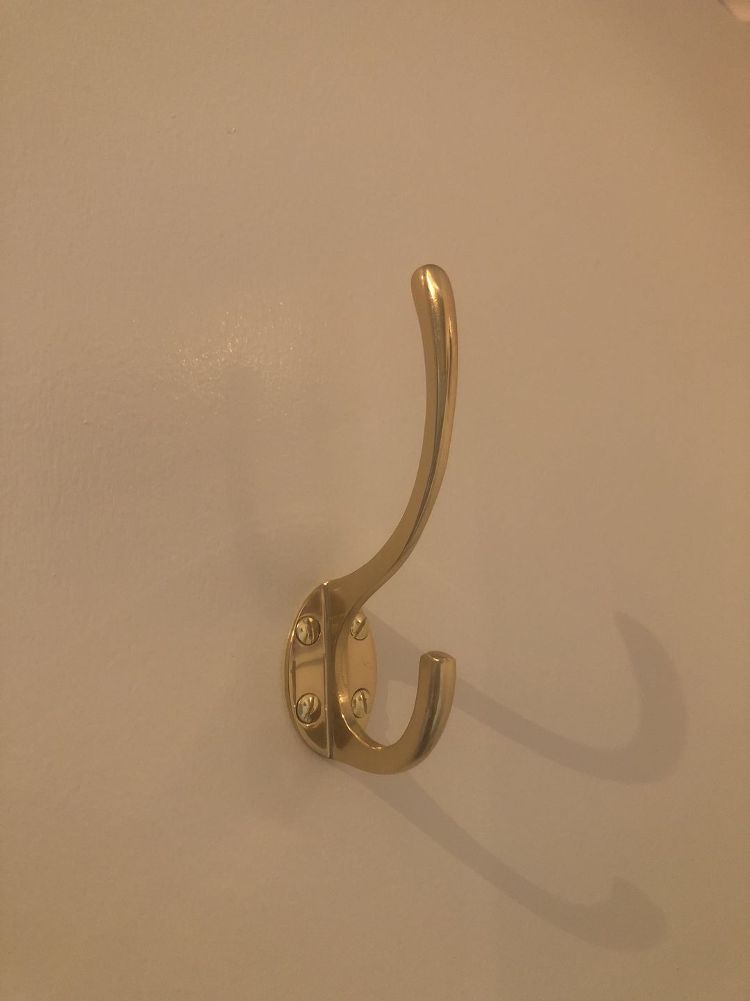 Customer photo review of Classic Brass Hat & Coat Hook