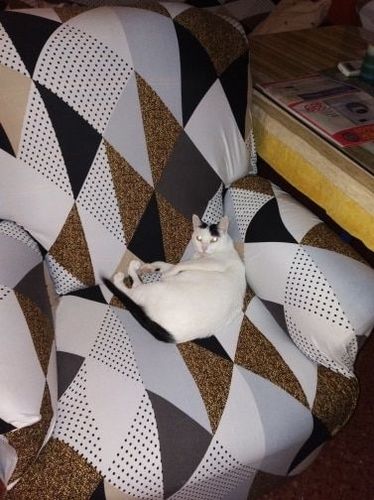 Customer photo review of EasyFit™- Stretch Sofa Slipcover