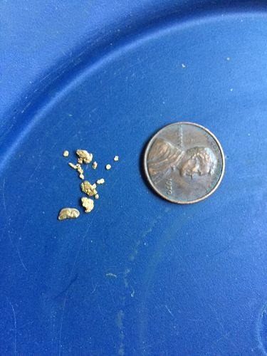 Customer photo review of *New* 2020 NUGGET RESERVE 'CLUNKER' Gold Paydirt Panning Unsearched