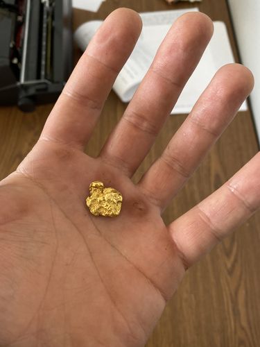Customer photo review of '$2K NUGGET RUSH' Gold Paydirt - *1 in 50 Bags Contains a Nugget Valued $2,000* - Jackpot Paydirt