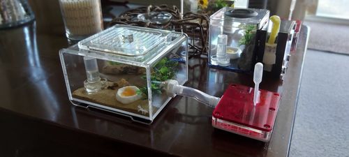 Customer photo review of AntKit Acrylic Arena B500