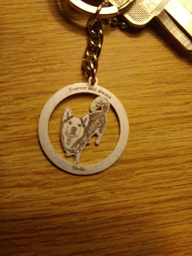Customer photo review of Silvercut™ Keychain