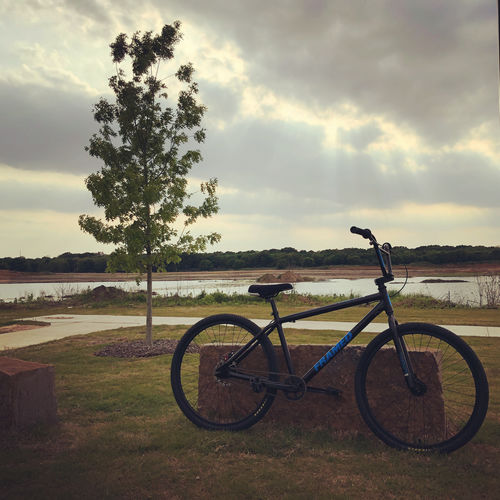 Customer photo review of Twenty6er BMX Bike - 26"