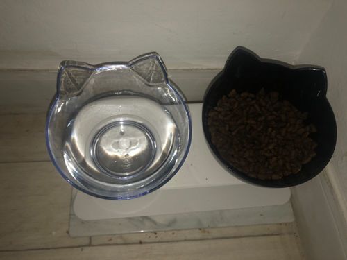 Customer photo review of The Purrfect Bowl
