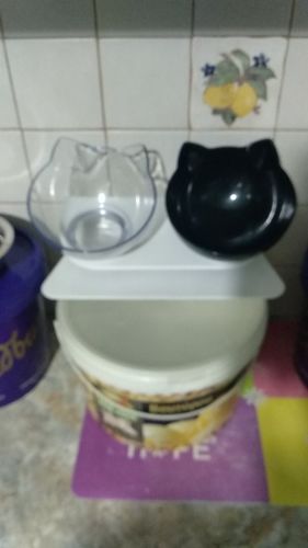 Customer photo review of The Purrfect Bowl