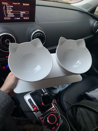 Customer photo review of The Purrfect Bowl