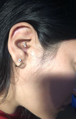 Customer photo review of Marquise Gems Hinged Segment Ring