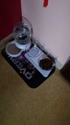 Customer photo review of The Purrfect Bowl