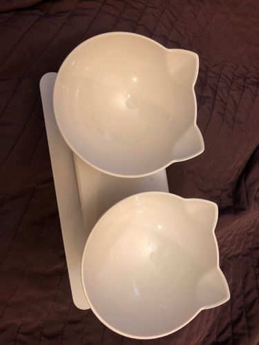 Customer photo review of The Purrfect Bowl