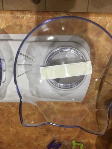 Customer photo review of The Purrfect Bowl