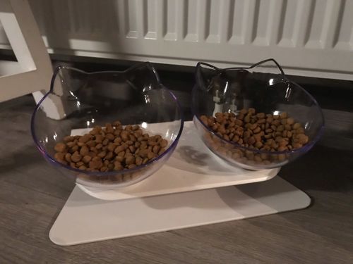 Customer photo review of The Purrfect Bowl