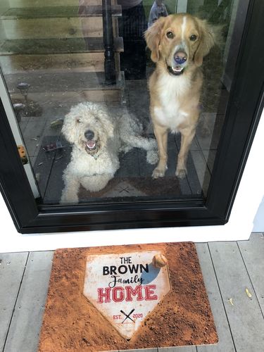 Customer photo review of BROWN/2020/D8