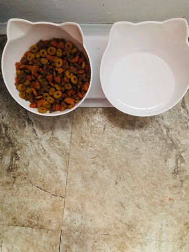 Customer photo review of The Purrfect Bowl