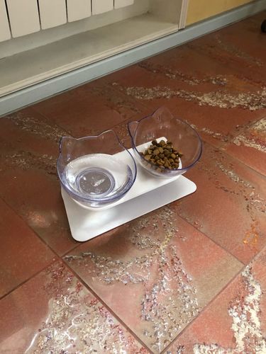 Customer photo review of The Purrfect Bowl