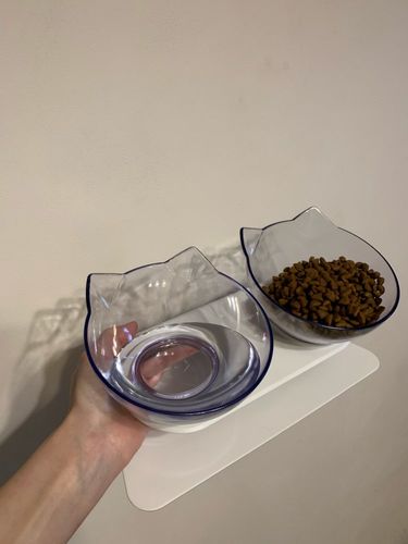 Customer photo review of The Purrfect Bowl