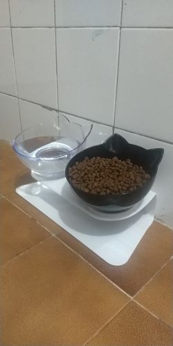 Customer photo review of The Purrfect Bowl