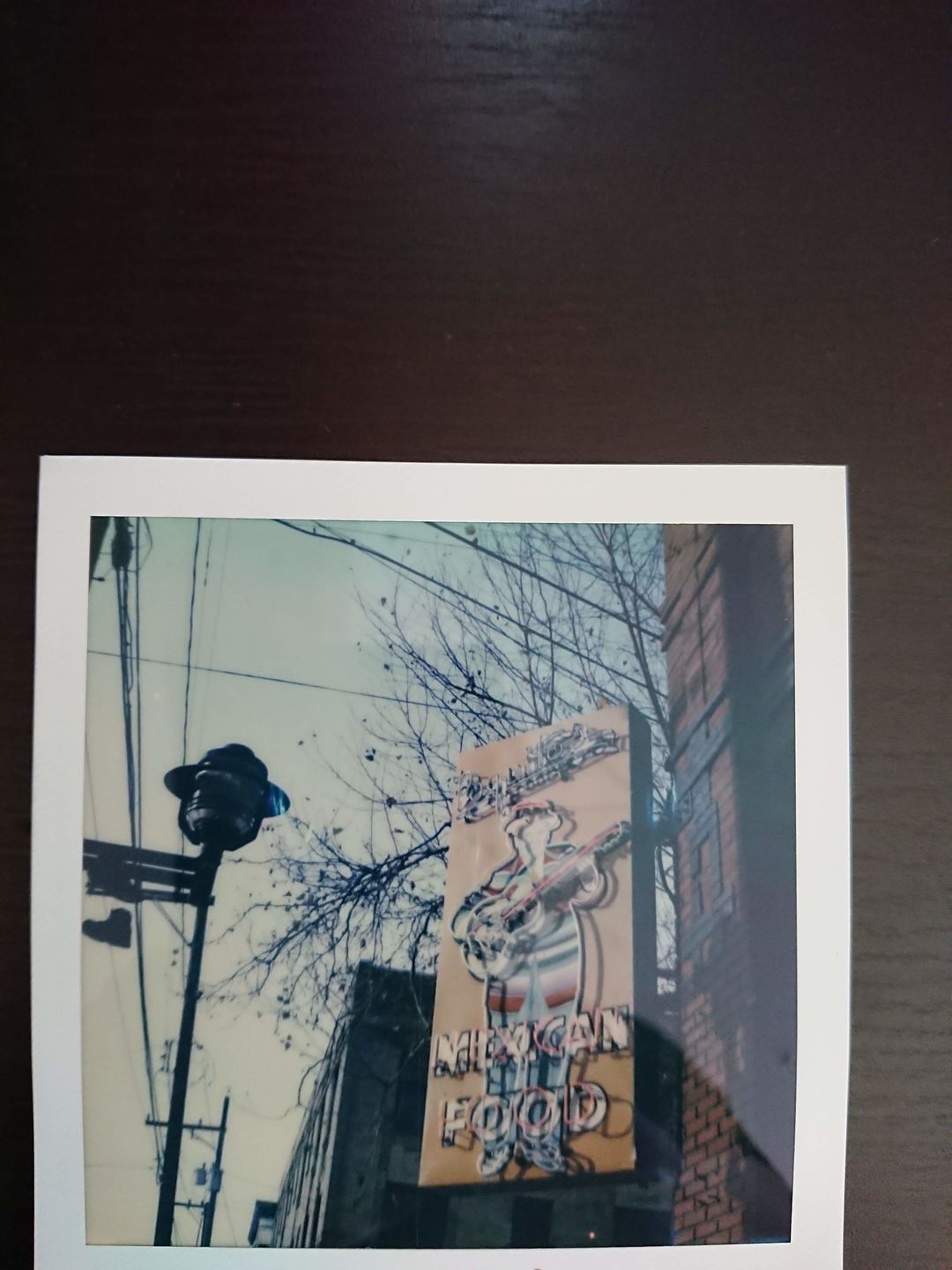 Customer photo review of Polaroid SX-70 Alpha 1 Chrome Folding Instant Film Camera