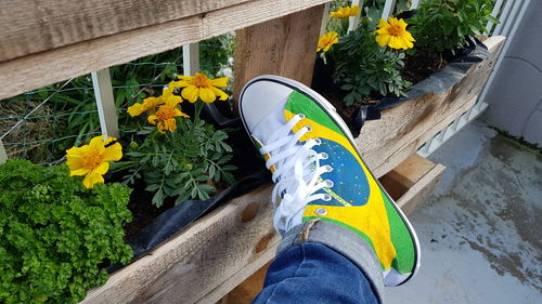 Customer photo review of BASKET BRAZIL