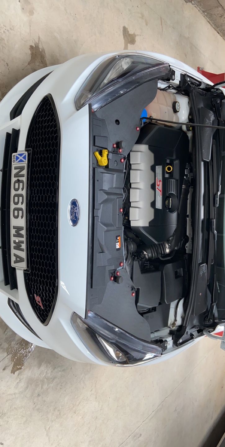 Customer photo review of Facelift Slam Panel Ends - MK3.5 Focus