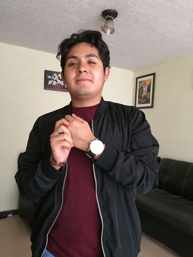 Customer photo review of MOVT SILVER-DARK