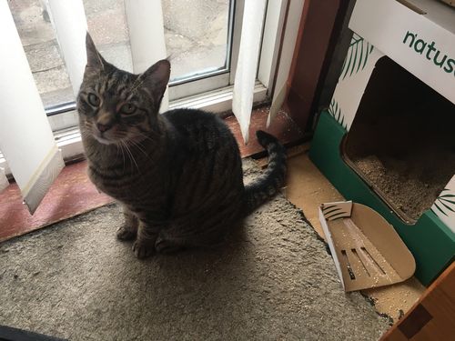 Customer photo review of Collect & Compost Service with Kit