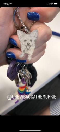 Customer photo review of Silvercut™ Keychain