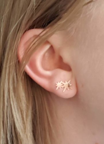 Customer photo review of Second Star Earrings - Rose Gold