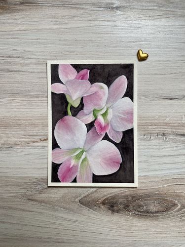 Customer photo review of Beechwood™