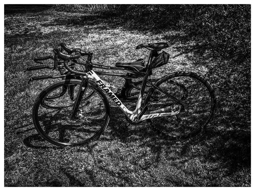 Customer photo review of Mallorca Disc Road Bike 700C