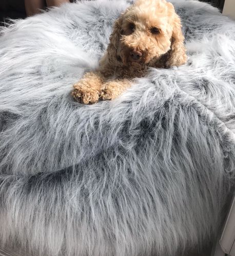 Customer photo review of XXL Adults Children's Pre-Filled Faux Fur Bean Bag