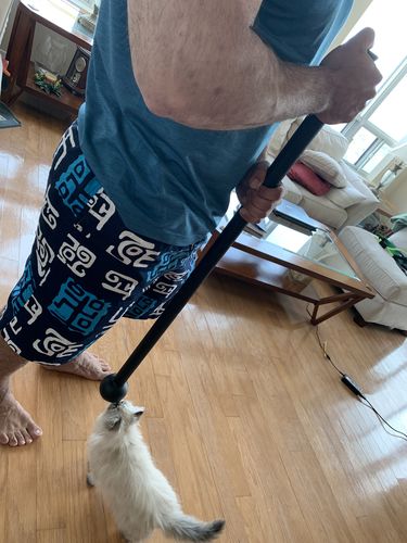 Customer photo review of 7lb Steel Mace  aka Macebell