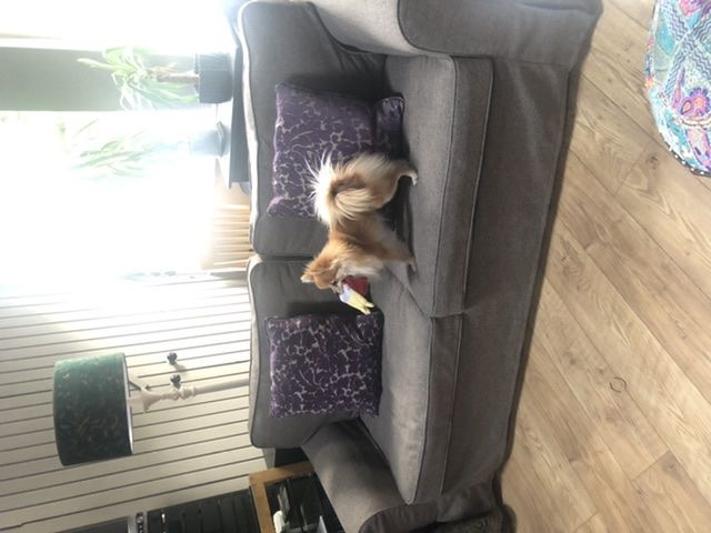 Customer photo review of EKTORP 2 Seat IKEA Sofa Bed Cover