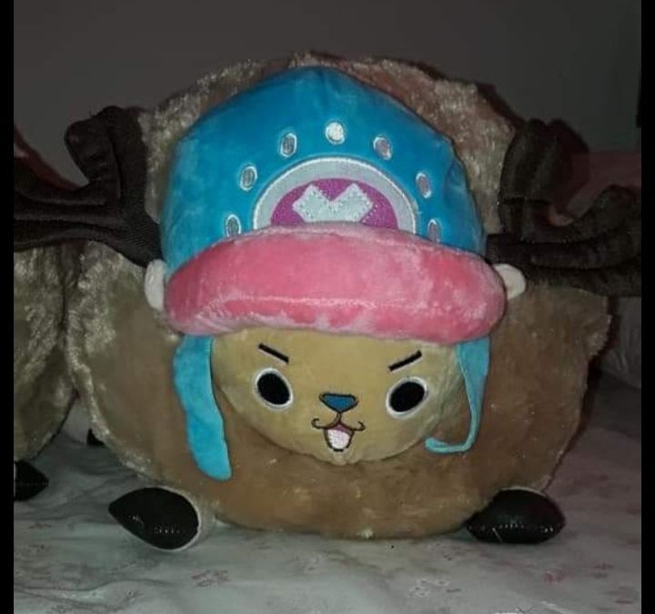 Customer photo review of Chopper Guard Point - Plush Doll