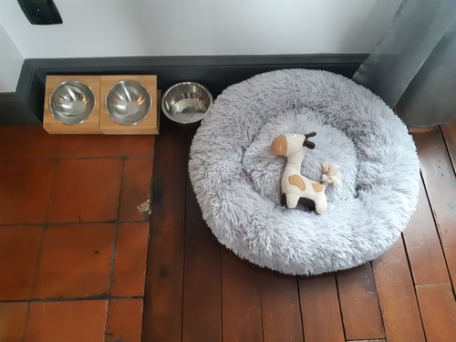 Customer photo review of Lit Apaisant Comfy® |  Pour Chien et Chat