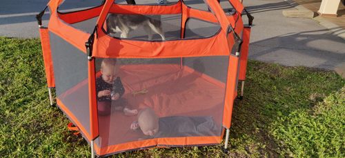 Customer photo review of Pop N' Go® Playpen