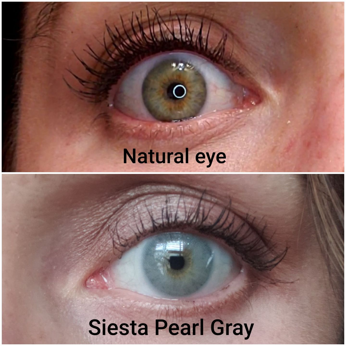Customer photo review of Siesta Pearl Gray