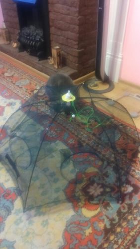 Customer photo review of Fishie™ | Gemakkelijk vissen