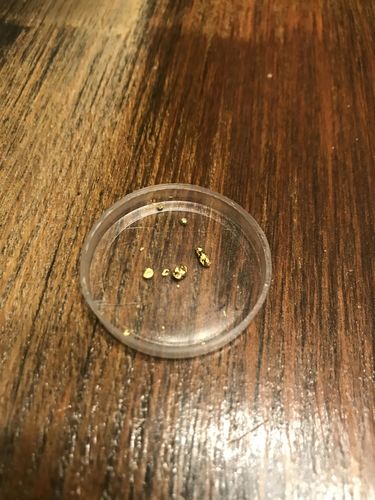 Customer photo review of *New* MAMMOTH 'TROY OUNCE NUGGET HUNT' Gold Paydirt - Gold Paydirt Concentrate