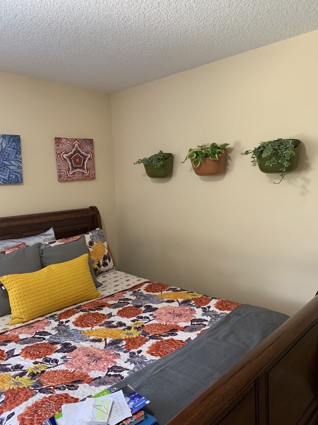 Customer photo review of Wally Eco Olive Wall Planter