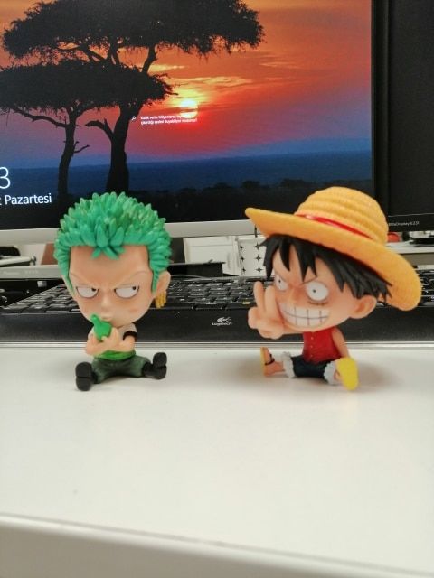 Customer photo review of One Piece Mini Figures